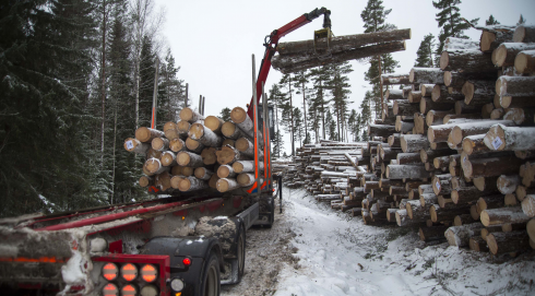 Fordonet på bilden har inget med artikeln att göra.Fotograf: Mikael Forslund, arkiv