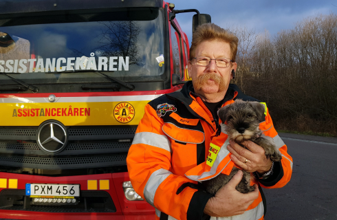 Schnauzern Signe är Berras nya, trogna följeslagare. Hon är minst lika lugn och cool som min förra hund, Doris, säger Berra.