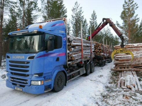 Foto: Peter Kaméus  Bildtext : Proffs följde med ett av Lindbergs ekipage ut i vinterskogarna i år.