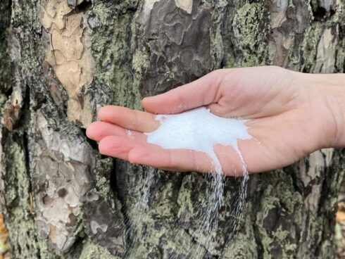  Natriumjonbatterier innehåller natrium som är ett mycket vanligt ämne i koksalt, i stället för litium. Foto: Chalmers.