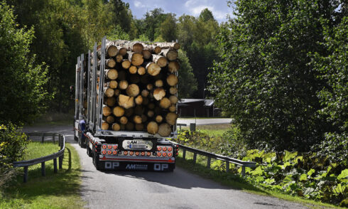 Genrebild. Foto: Tommy Holl, arkiv