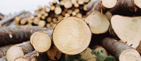 Genrebild. Foto: Scania/SCA.