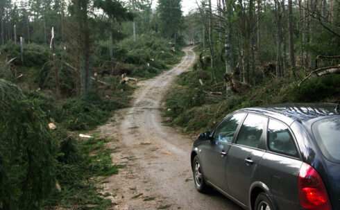 Foto: Göran Rosengren, arkiv