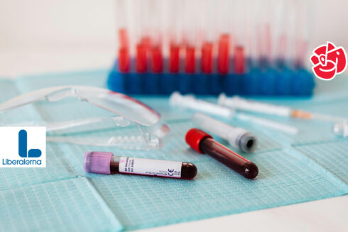 "Svaren har kommit tämligen snabbt, men jag saknar fortfarande svar från ett av partierna", säger Anders Dahlgren. Bakgrundsbild: Kaboompics.